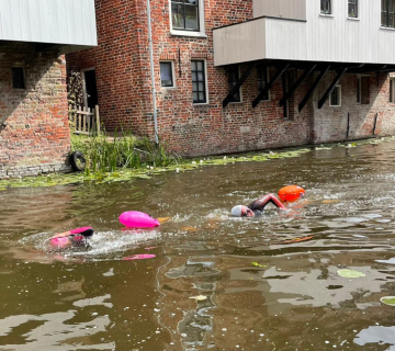 damstercityswim